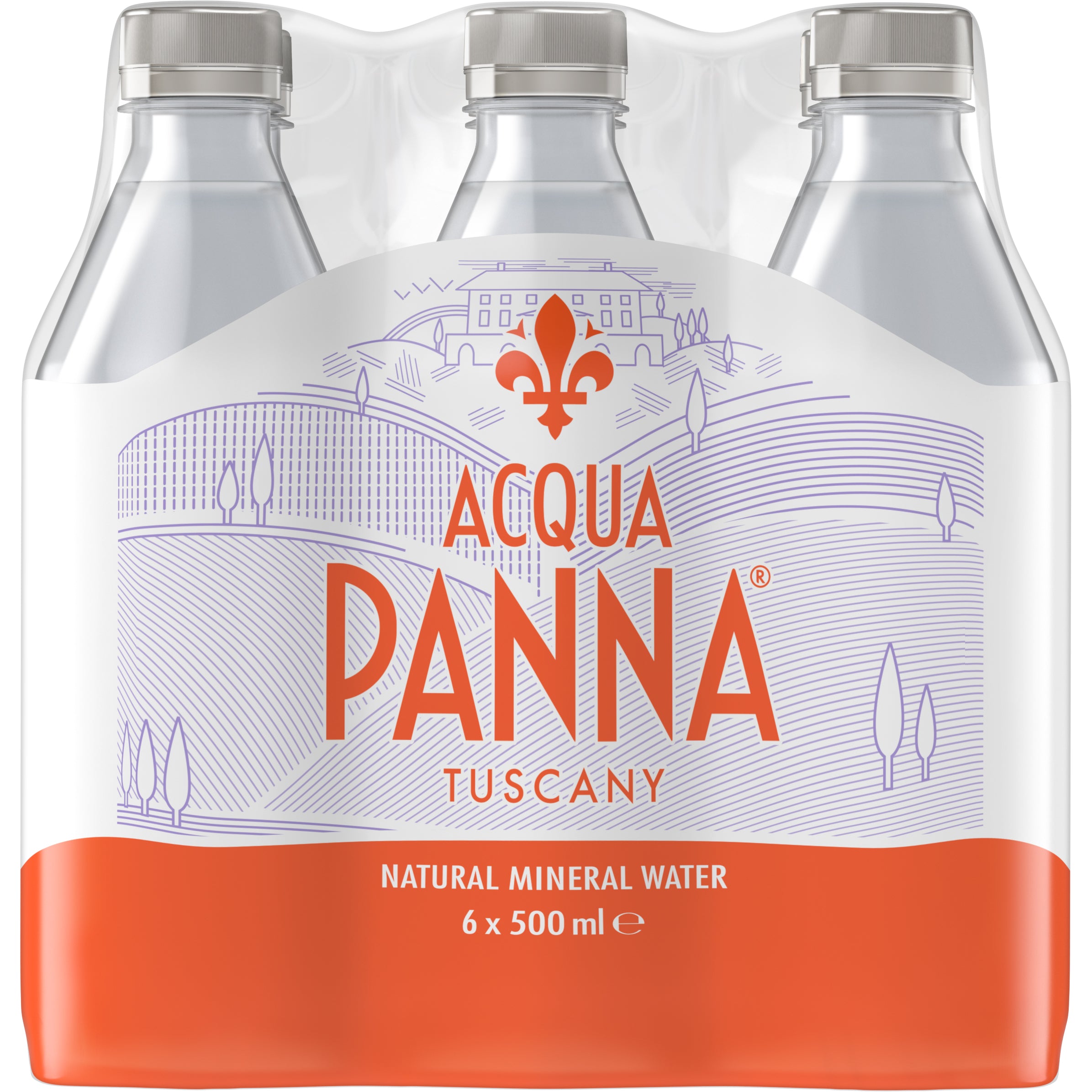 ACQUA PANNA non gazéifié 12444664 50 cl, 6 pcs.
