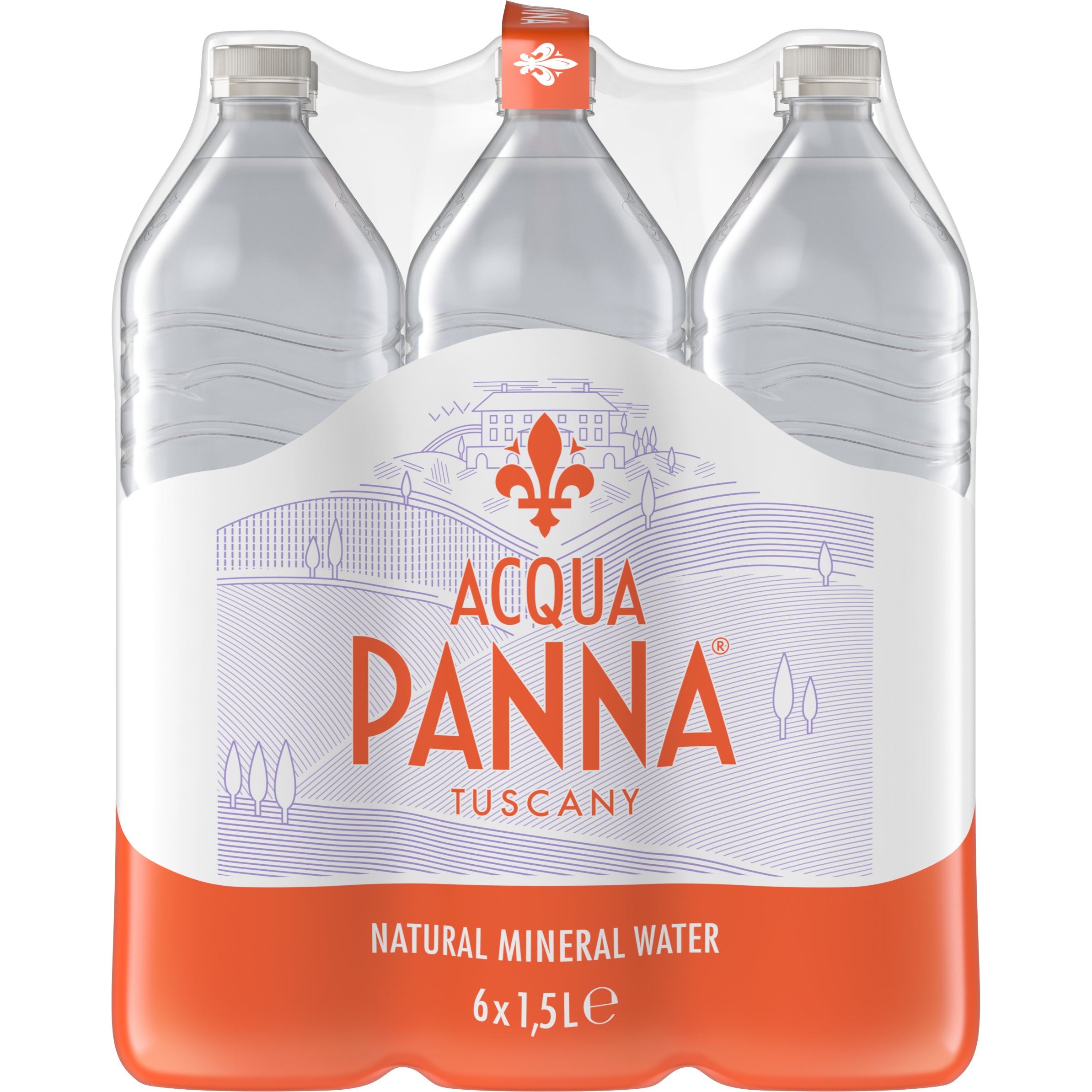 ACQUA PANNA non gazéifié 12498300 150 cl, 6 pcs.