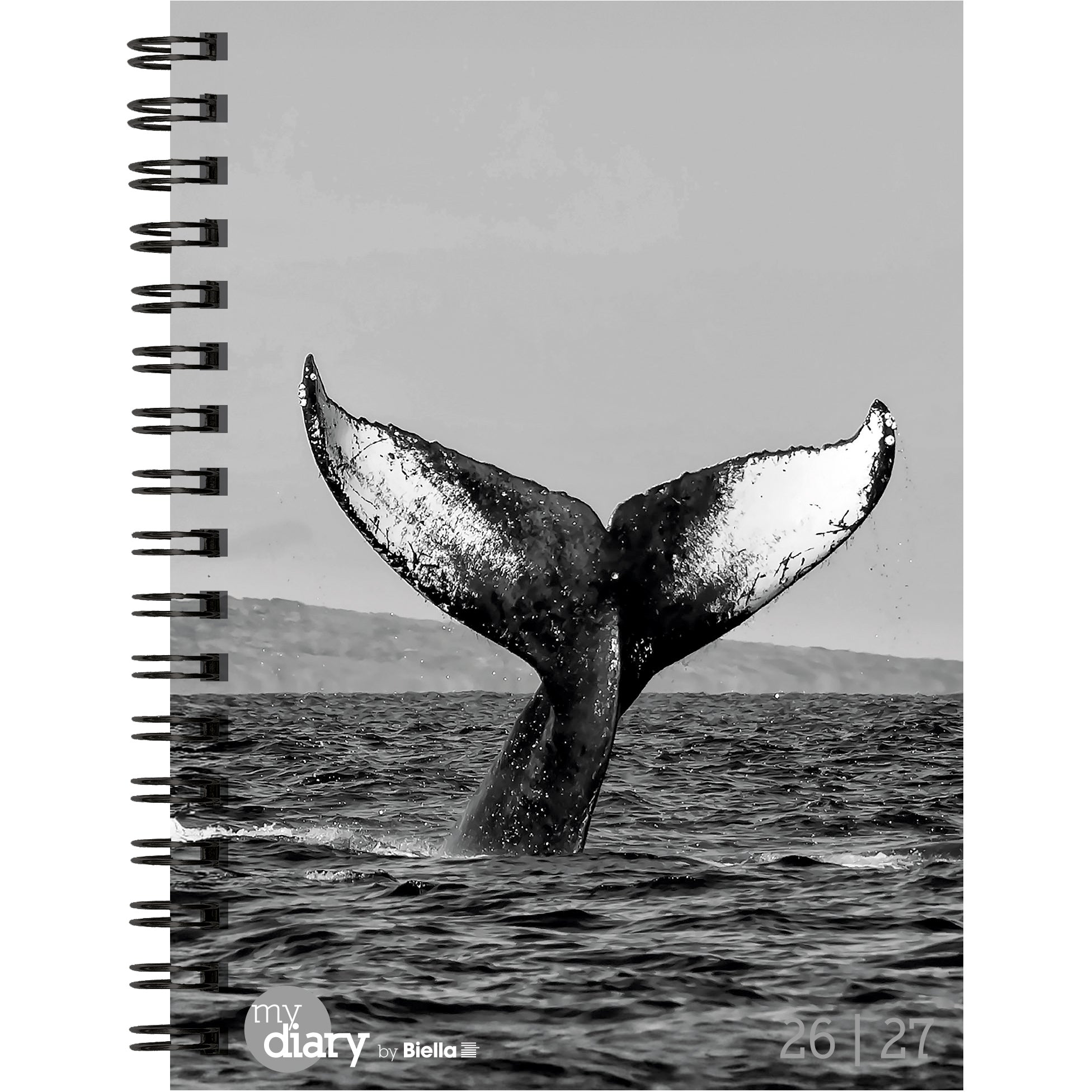 BIELLA    Agenda scol. Whale       26/27
