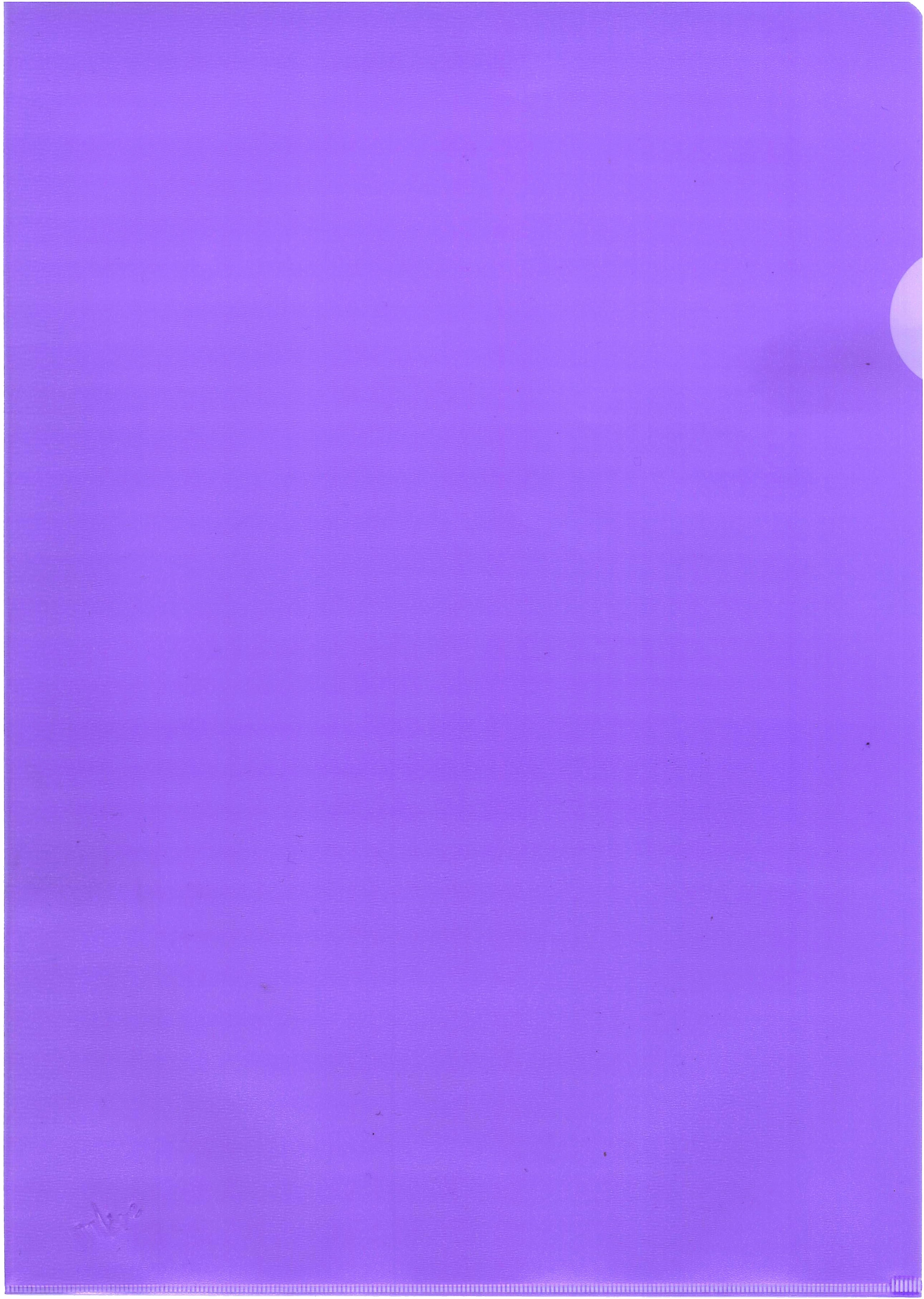 BÜROLINE Dossiers A4 620100 violet, mat 100 pcs.