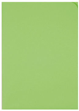 ELCO Dossier d'organ. Ordo A4 29466.62 discreta, vert int. 100 pcs.
