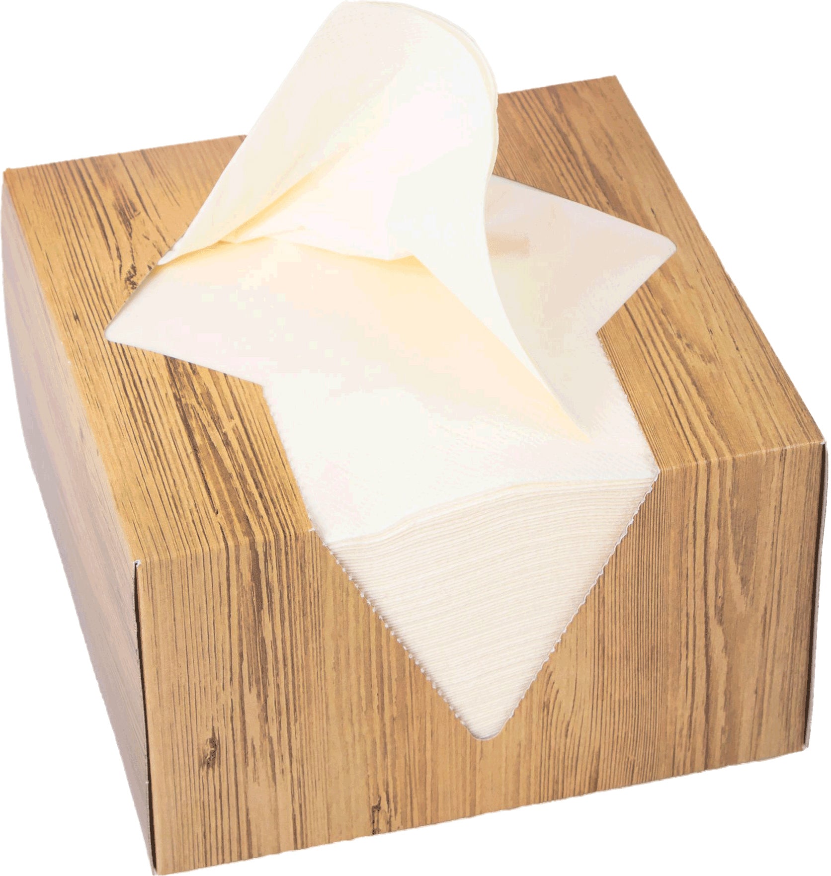 ELCO Boîte à serviettes 33x33cm 33402100-004 3 plis, crème 100pcs.