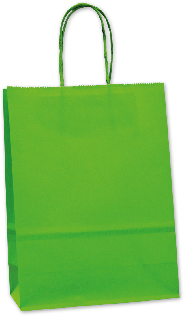 ELCO Sac de transport 180x80x240mm 84101.45 vert 25 pièces