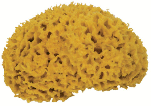 FRINA Eponge naturelle 916.16 16cm