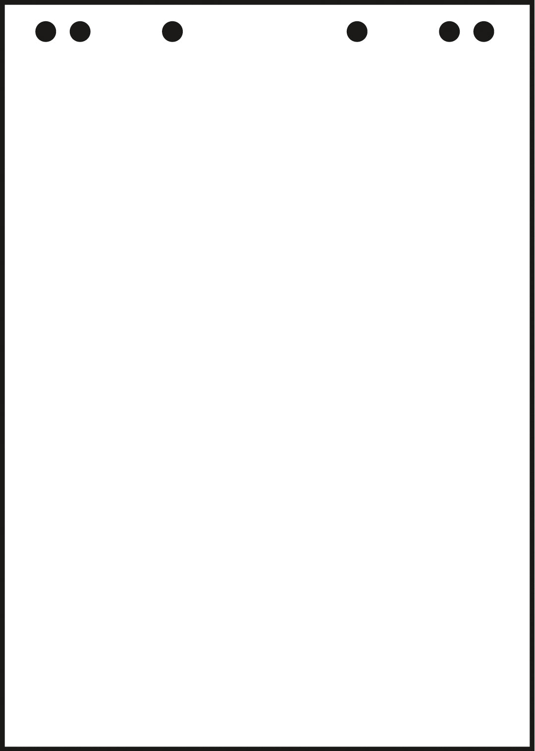 LANDRE    Papier Flipchart       68x99cm