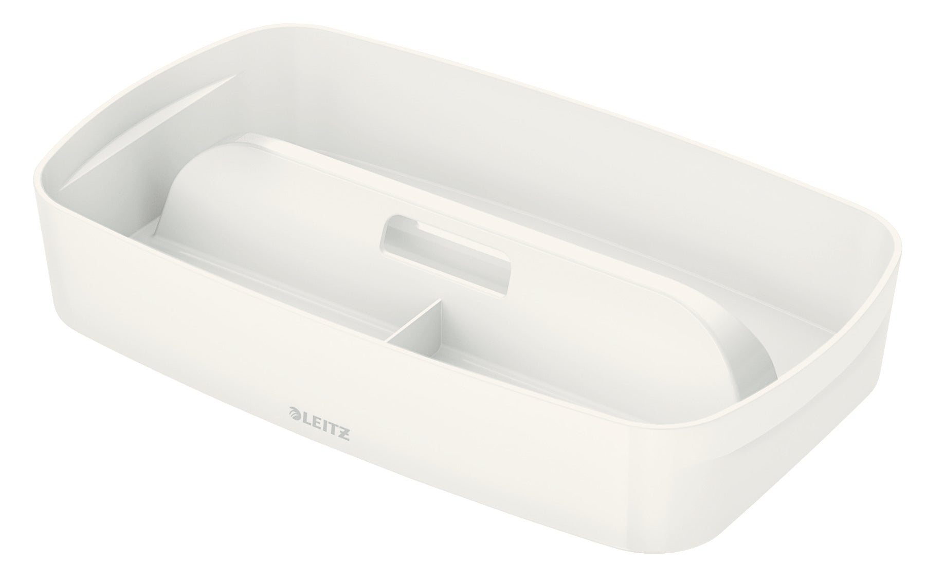 LEITZ     MyBox Organizer S