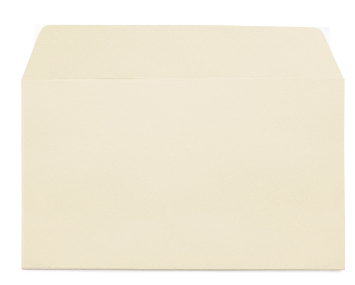 PAPYRUS Enveloppe Rainbow s/fenêtre C5 88048514 chamois 250 pcs.