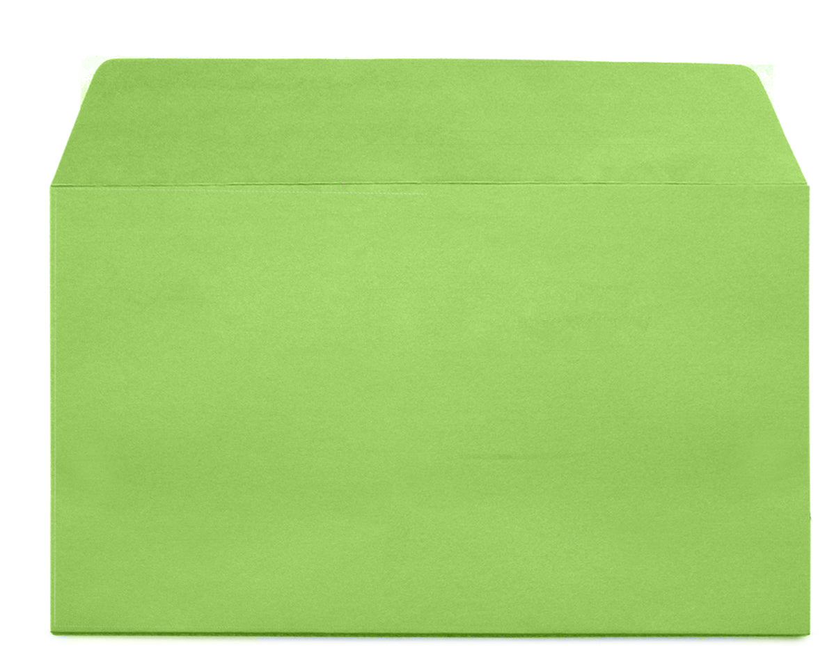 PAPYRUS Enveloppe Rainbow s/fenêtre C5 88048542 vert 250 pcs.