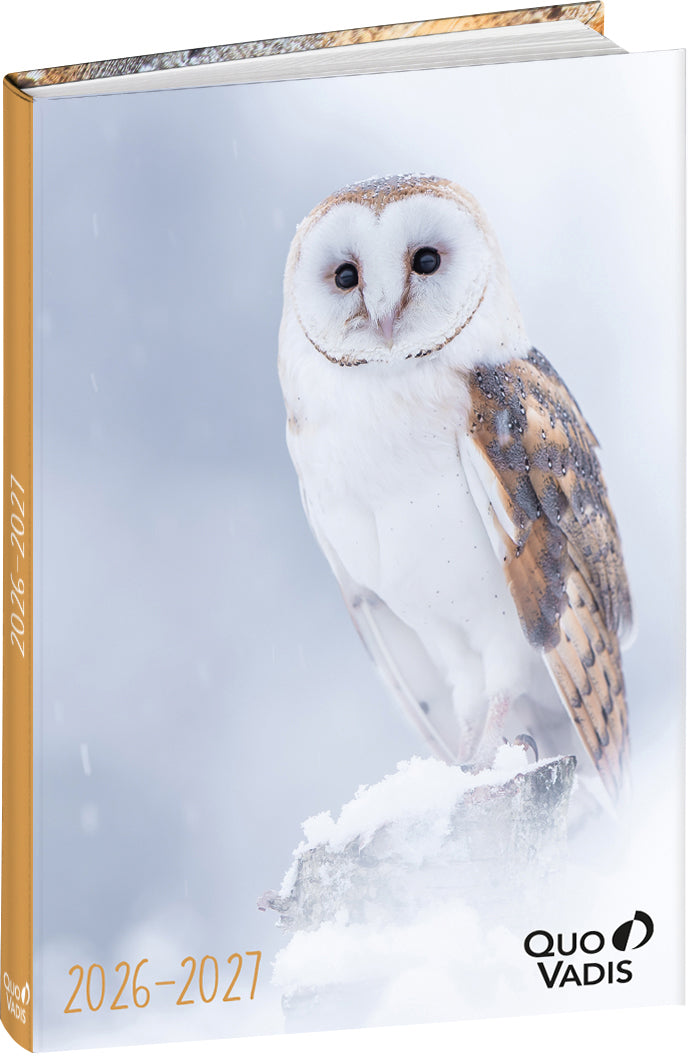 QUO-VADIS Eurotextagenda hibou     26/27