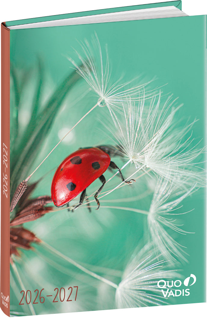 QUO-VADIS Eurotextagenda coccinel. 26/27