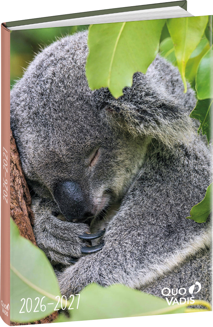 QUO-VADIS Eurotextagenda koala     26/27
