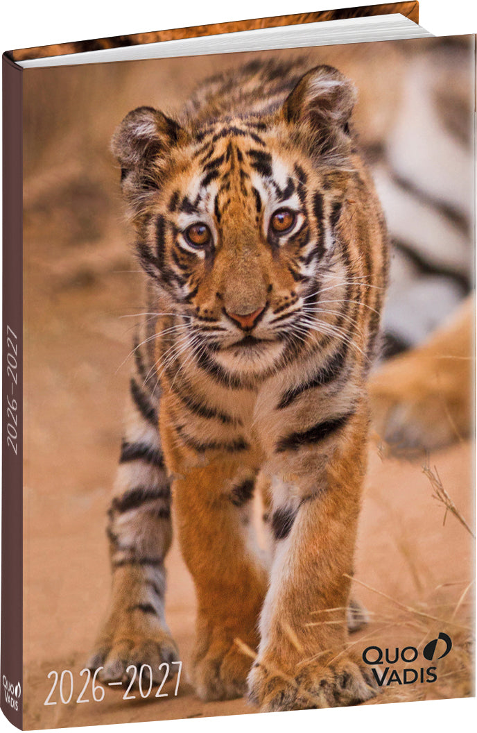 QUO-VADIS Eurotextagenda tigre     26/27