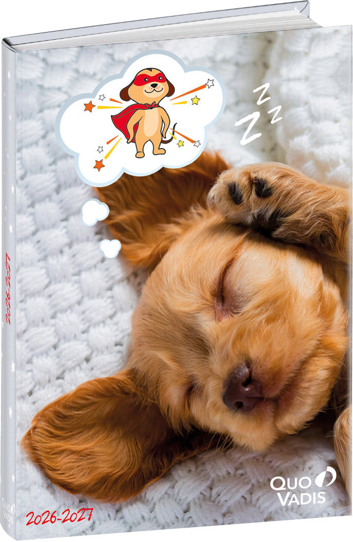 QUO-VADIS Eurotextagenda chien     26/27