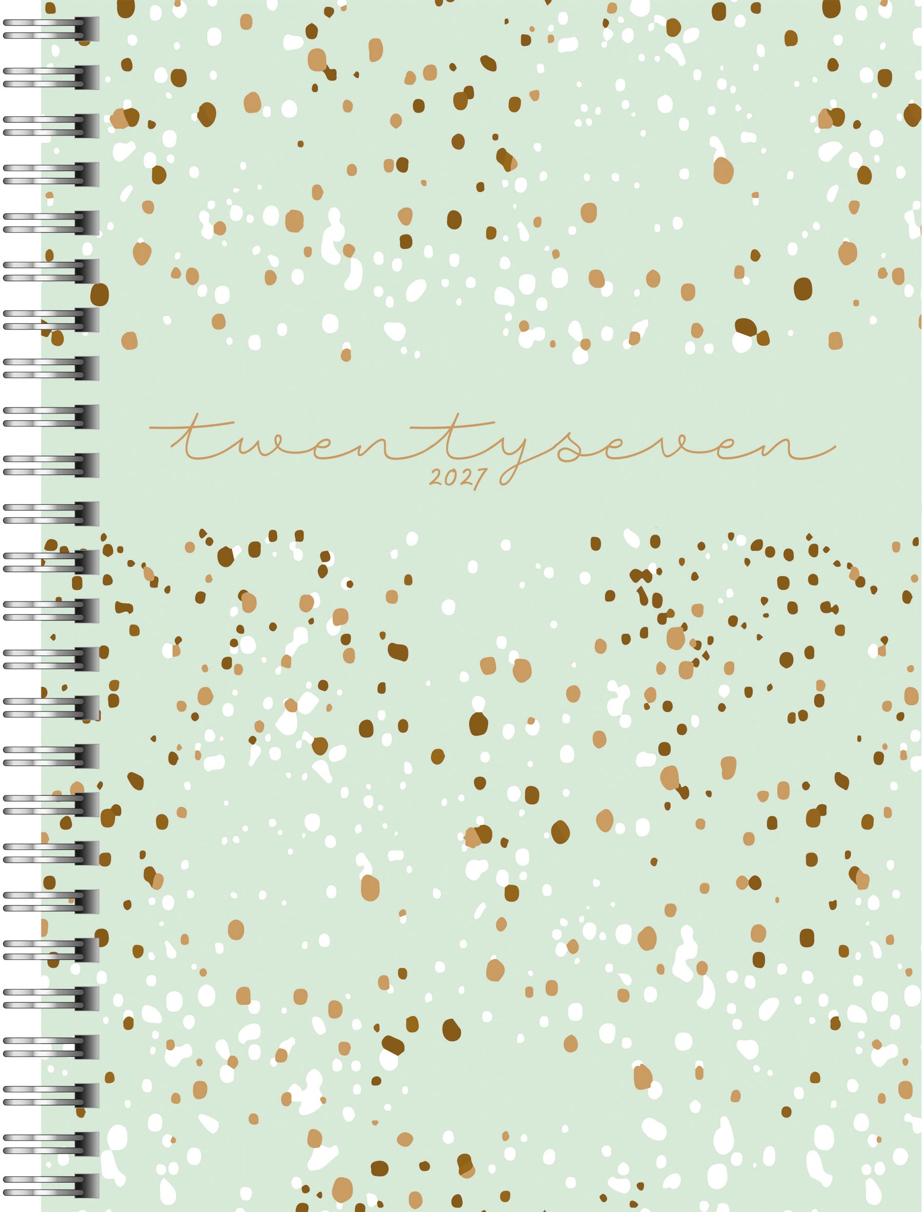 RIDOIDE   Agenda Timing 1 Confetti  2027