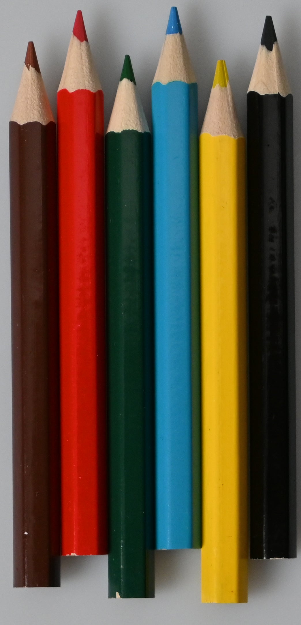 ROOST     Crayon de couleur Mini