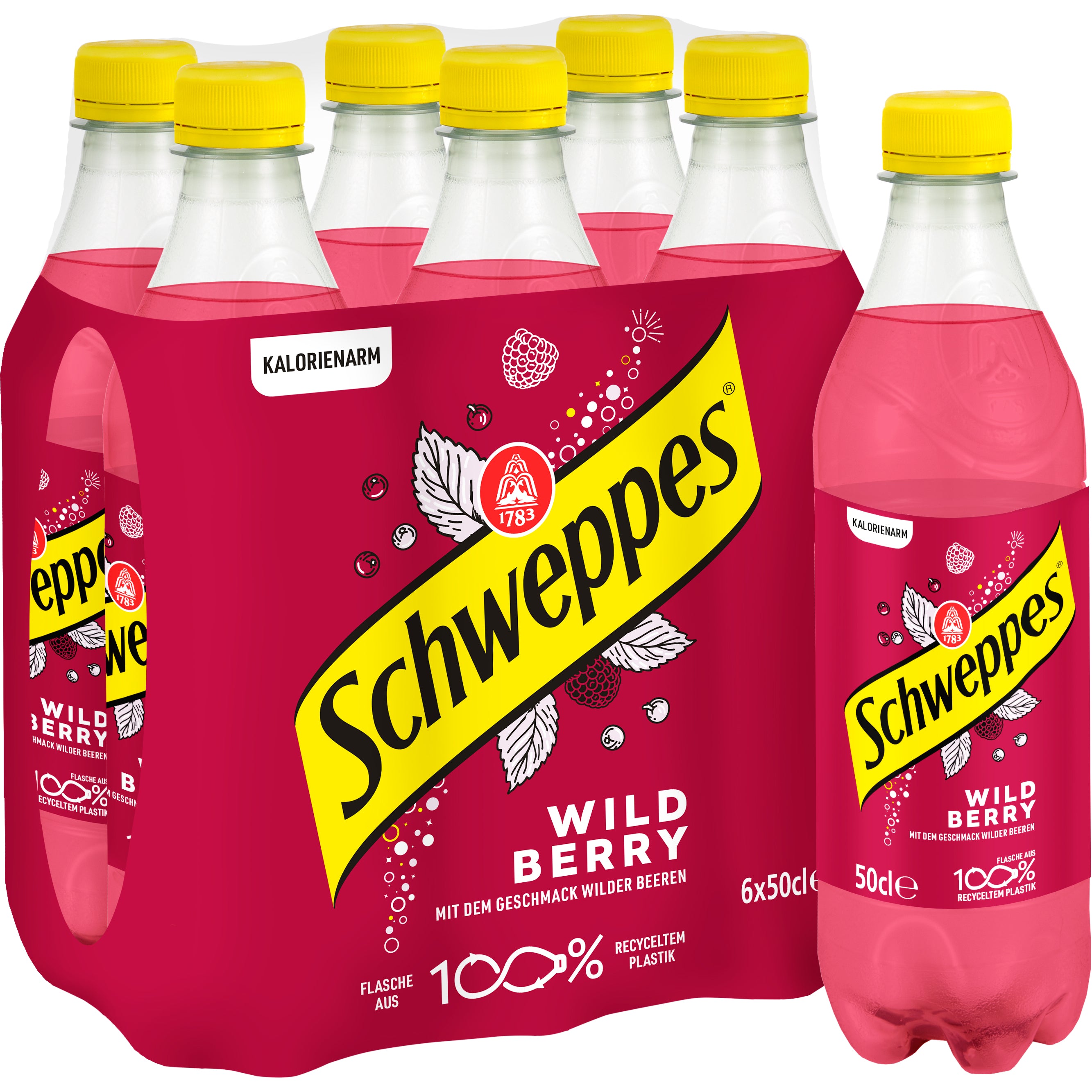 SCHWEPPES Wild Berry 11020621 50 cl, 6 pcs.
