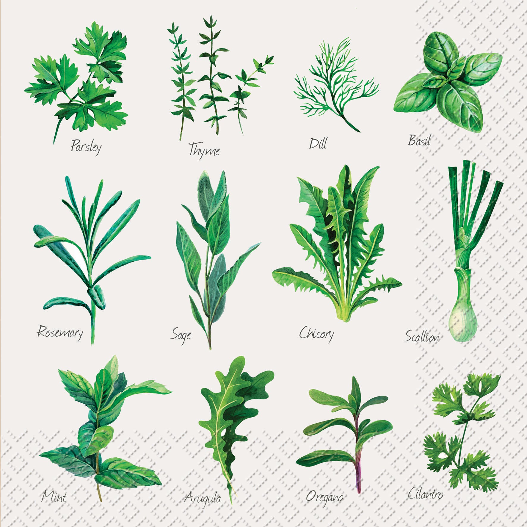 STEWO Serviettes Herb 33x33cm 2572598745 vert 20 pcs.