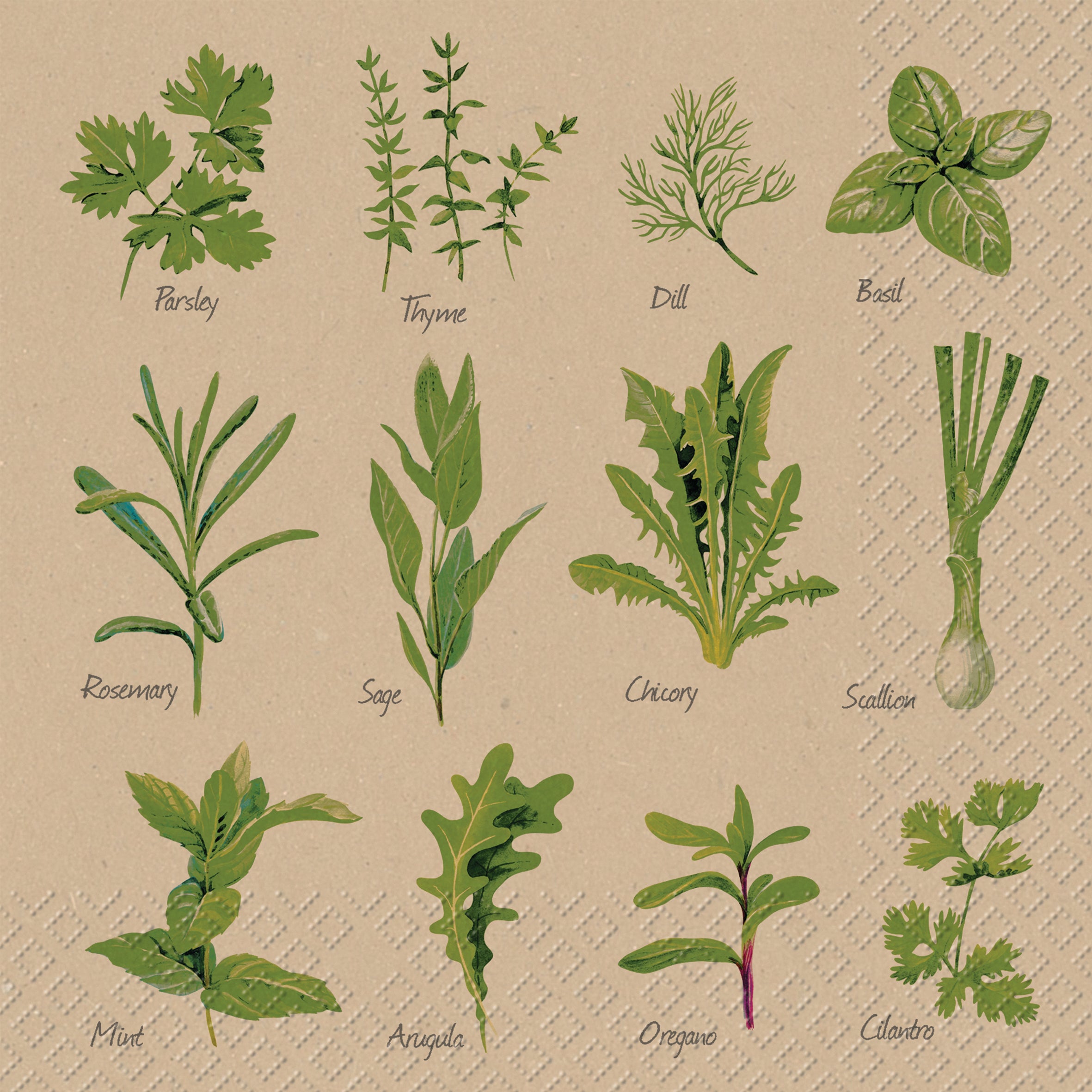 STEWO Serviettes Herb 2572598765 gris 33x33cm