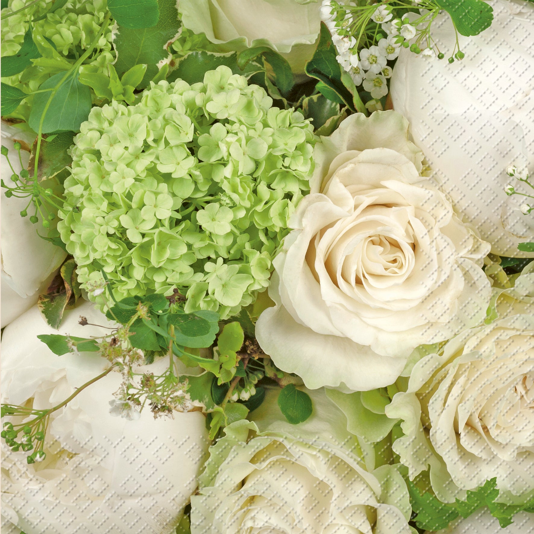 STEWO Serviettes Elaria 33x33cm 2572623146 vert clair 20 pcs.