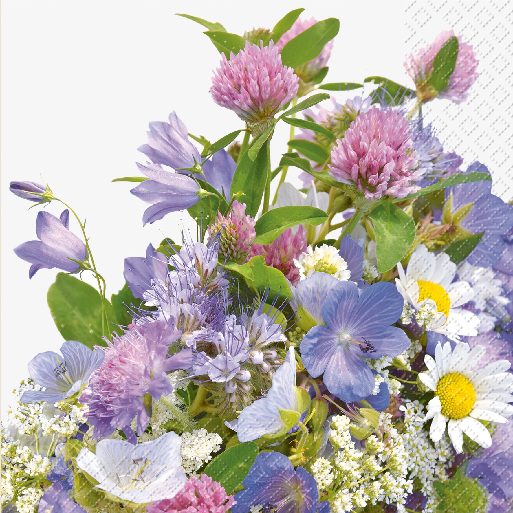 STEWO Serviettes Erika 33x33cm 2572623236 lila clair 20 pcs.