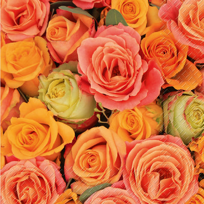 STEWO Serviettes Rosso 33x33cm 2572638115 orange 20 pcs.