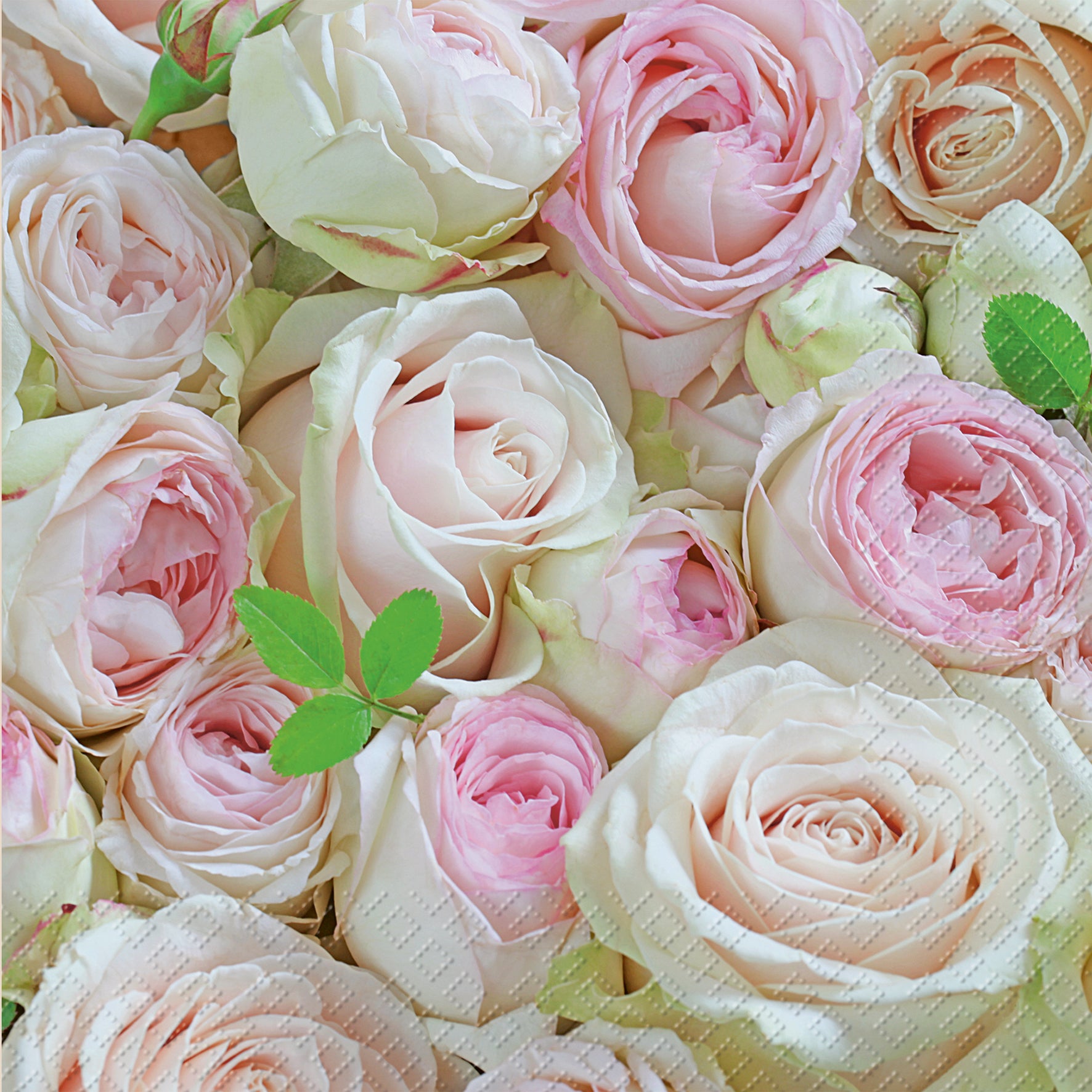 STEWO Serviettes 33x33cm 2572649626 Lova FSC rose claire 20 pcs.