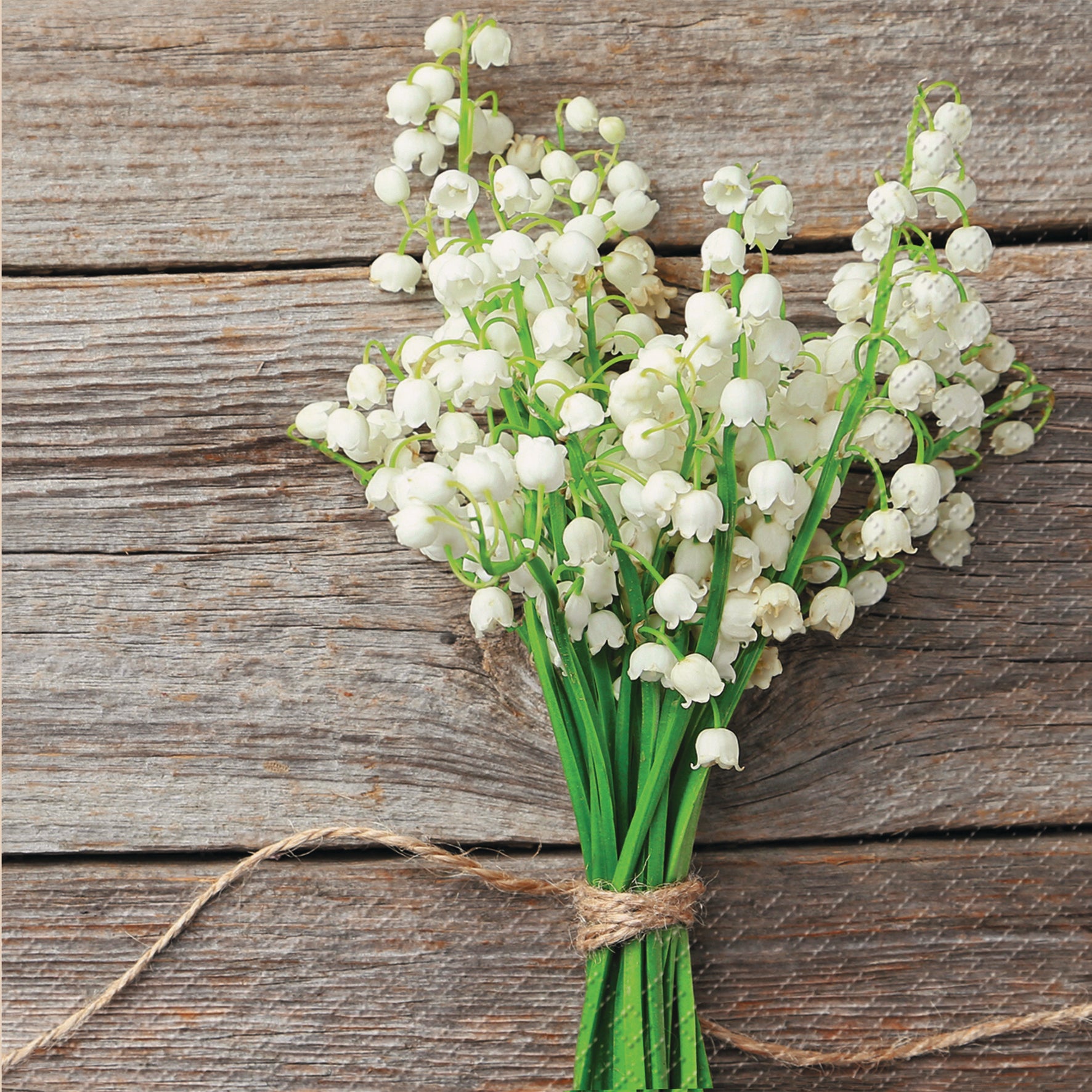 STEWO Serviette de table Mady 2572650260 blanc 33x33cm