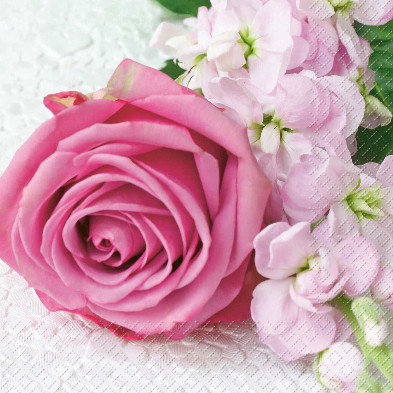 STEWO Serviettes Vanessa 25x25cm 2573621128 pink 20 pcs.