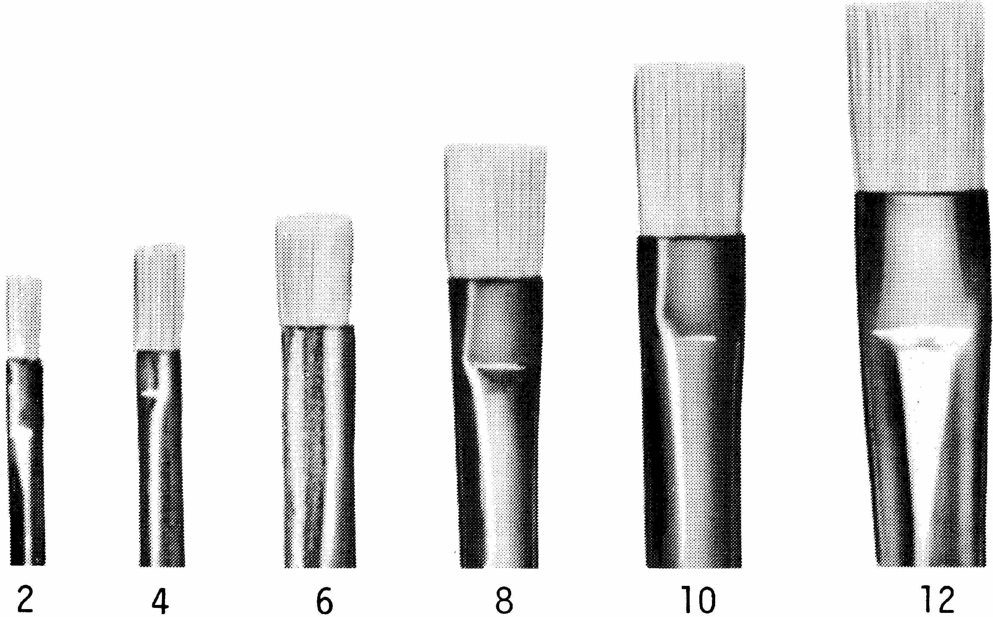 TALENS    Pinceau à l'huile No.12