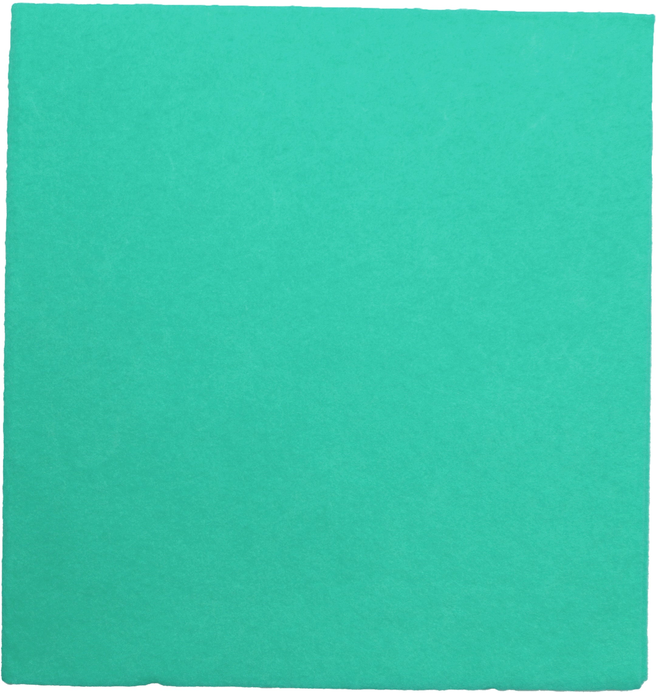 WEITACLEAN Chiffon multi Olivia 38x40cm 721263 vert 30 pièces